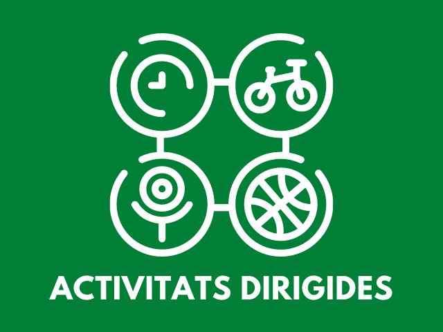 Activitats_Dirigides.png