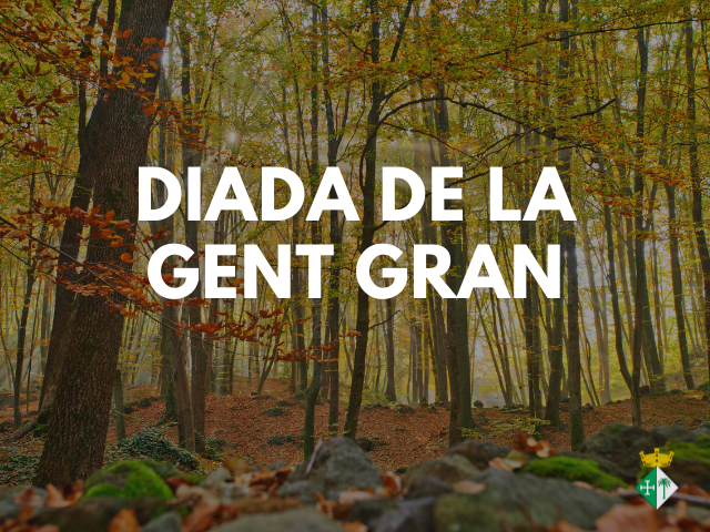 Diada de la gent gran