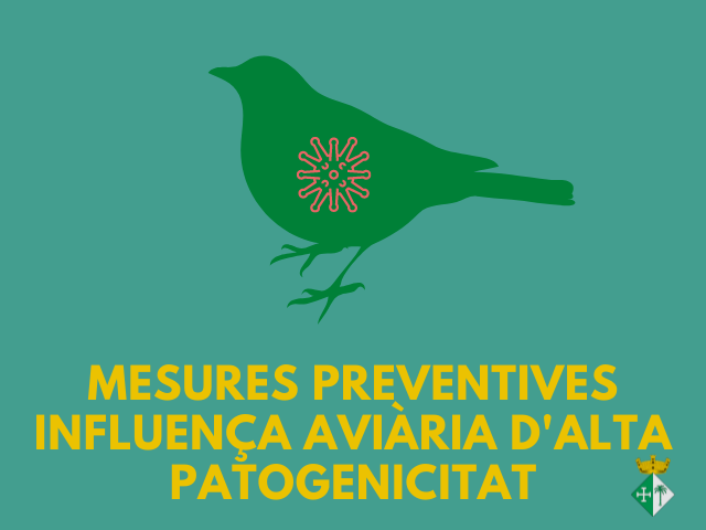 Mesures preventives Influença Aviària d'Alta Patogenicitat