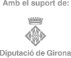 logo diputacio